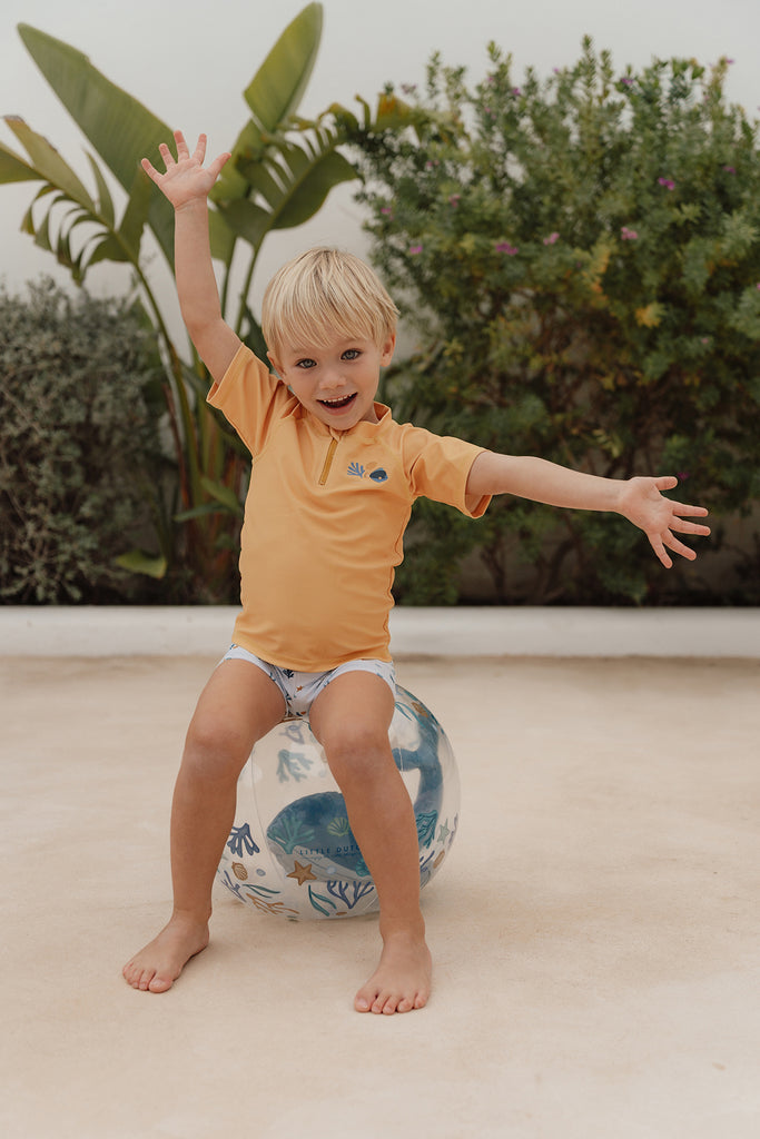 Little Dutch Beach Ball - Whale.