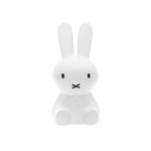 Mr Maria Miffy Star Light.